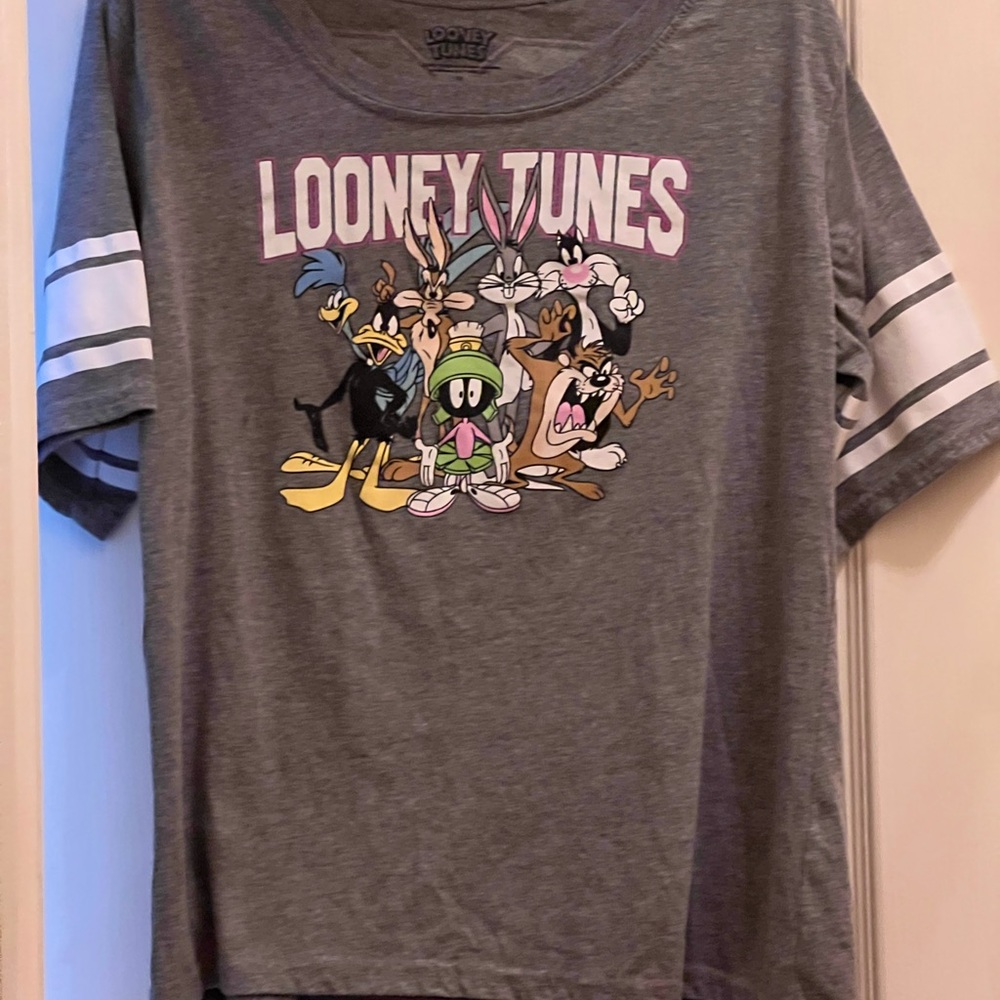 Looney Tunes Women’s Gray Graphic Tee - Looney Tunes Characters Plus Size